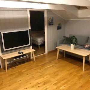 Birkebeiner Apartamento Bergen